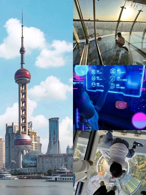 上海空中书店体验_东方明珠vr过山车视频_东方明珠电视塔VR过山车