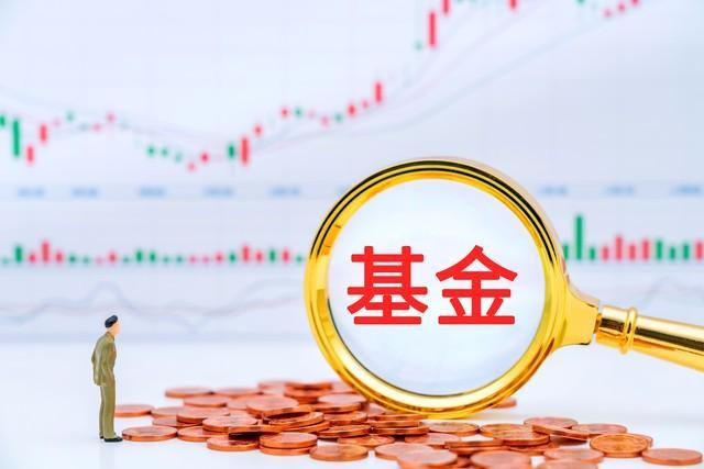 基金定投财富增长策略_基金定投故事_小额定期投资收益最大化