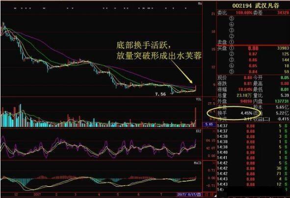 庄家抬轿黄金_股票交易时间规划_股票交易资本亏损