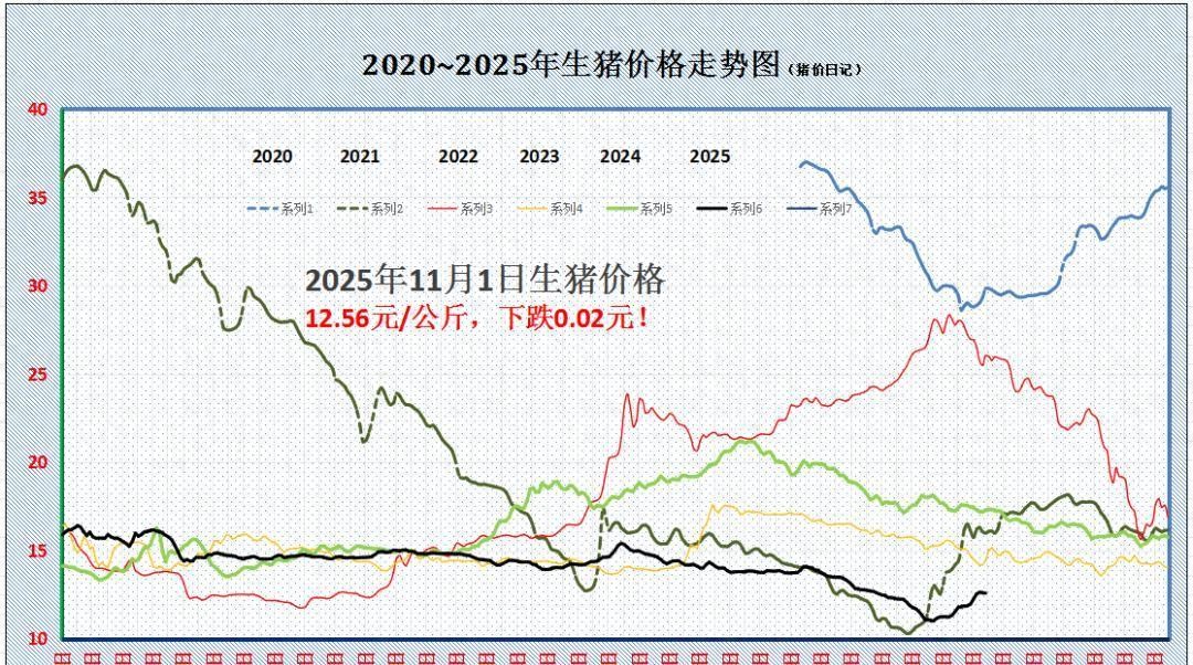 10月猪价如坐过山车：月初探底、中旬猛冲，月底又现回落信号