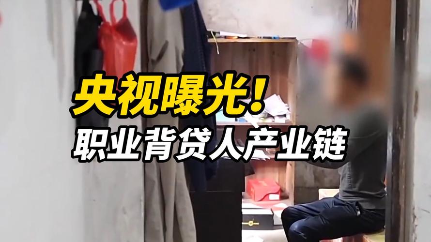 团贷网 骗_职业背债人_贷款诈骗罪