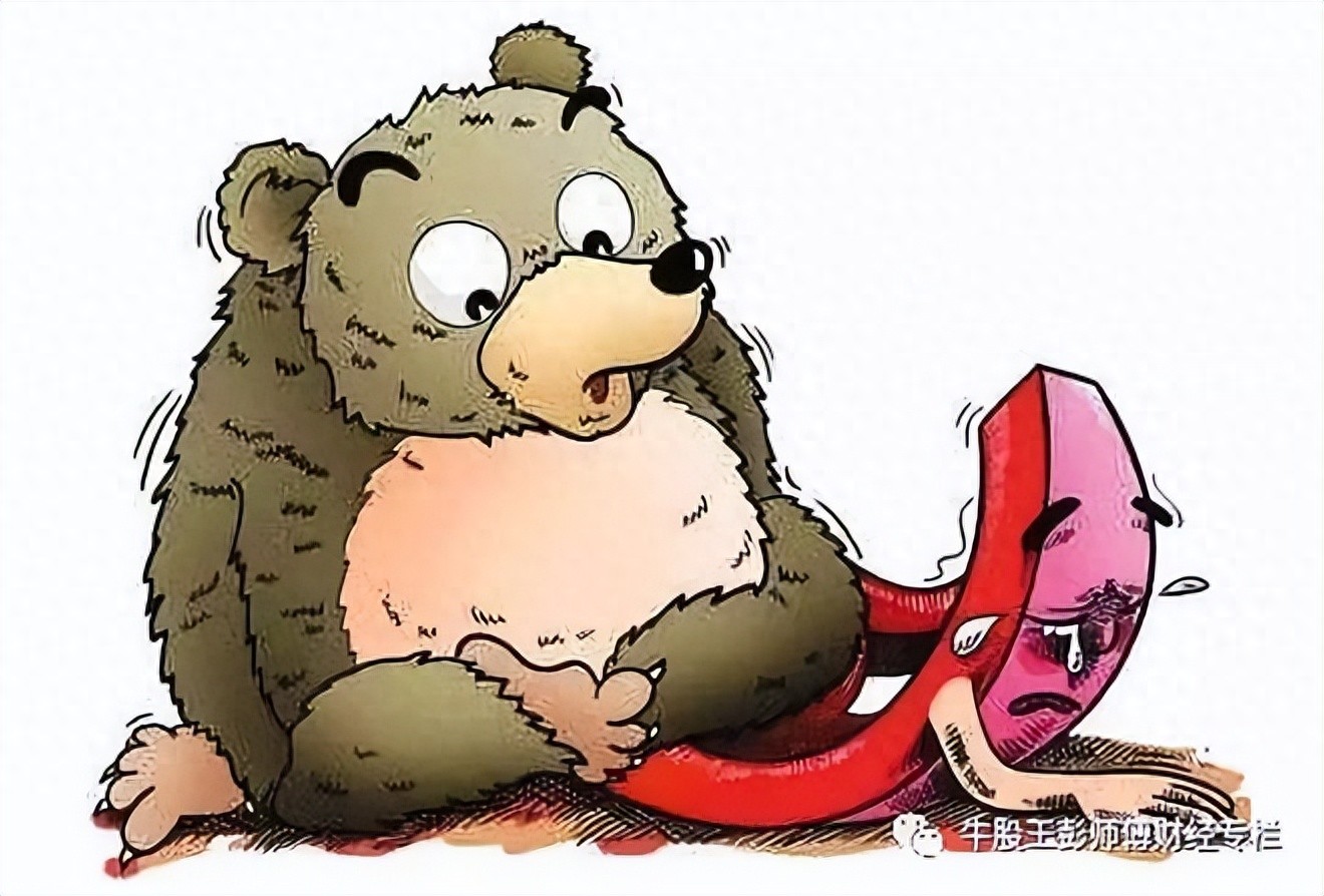 如何查看股票历史持仓？揭秘庄家建仓手法与时机选择