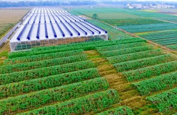 深入剖析农业供应链金融发展现状与存在的问题