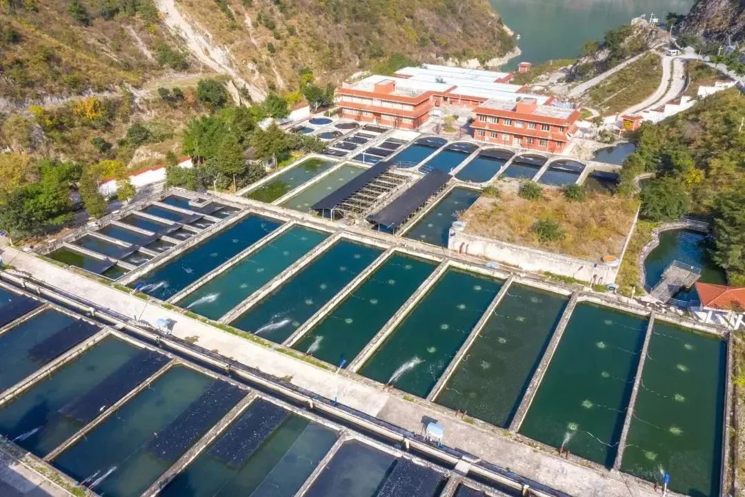 大渡河公司水电开发_四川大渡河钢铁股份有限公司_大渡河公司清洁能源建设