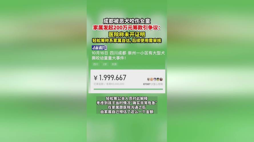 大病众筹平台 审核漏洞 虚假筹款_轻松筹筹不够目标金额