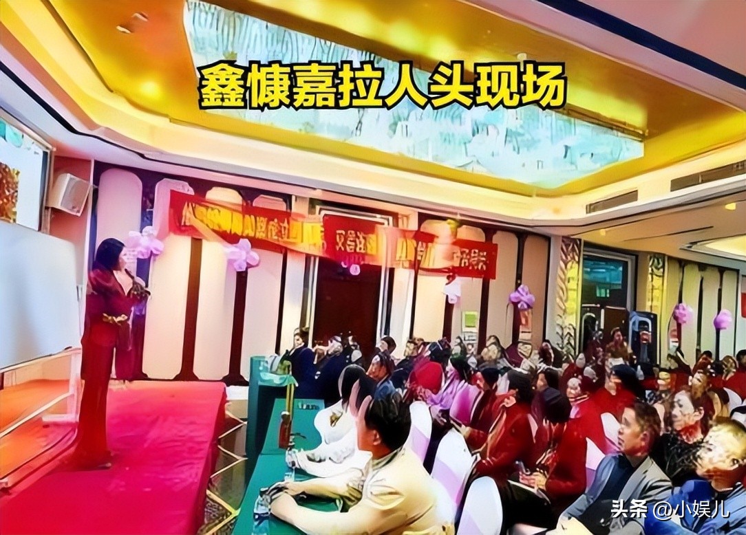  鑫慷嘉金融公司骗局 __财富之家传销