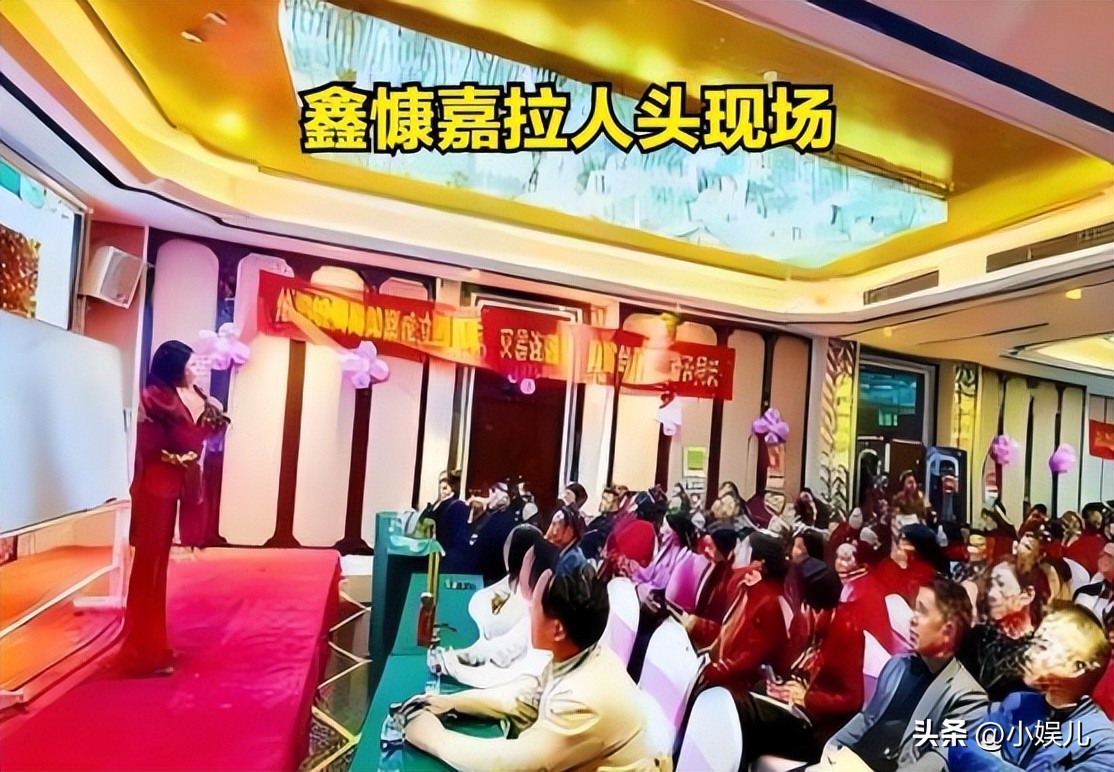  鑫慷嘉金融公司骗局 __财富之家传销