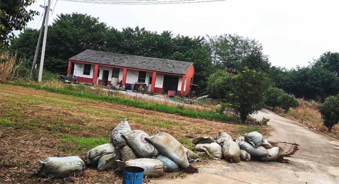 苗木虚开发票案例_建筑行业虚开发票风险_增值税专票能开假的吗
