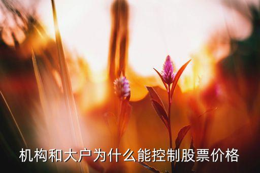机构和大户为什么能控制股票价格