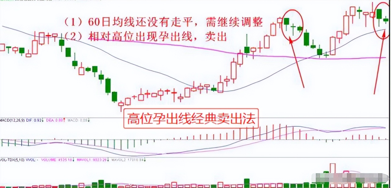 强势股操作技术精要_小资金炒股做大_股市龙回头模式