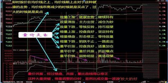 分时图指标解读_股市行情线中的黄线是什么_分时图白线黄线含义