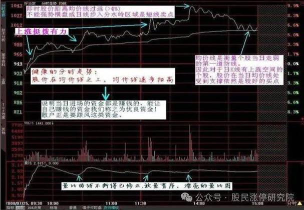 庄家类型_庄家定义_庄家持仓量指标公式