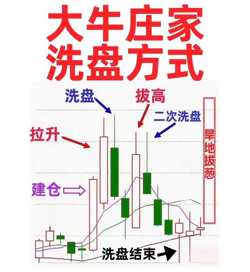 庄家定义_庄家类型_庄家持仓量指标公式