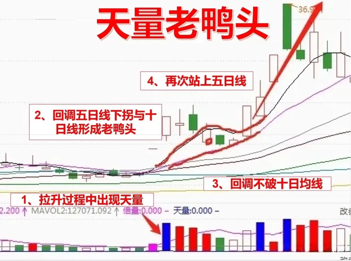 炒股十年终于稳定盈利_炒股十年才知道做强势股_十年炒股的高手