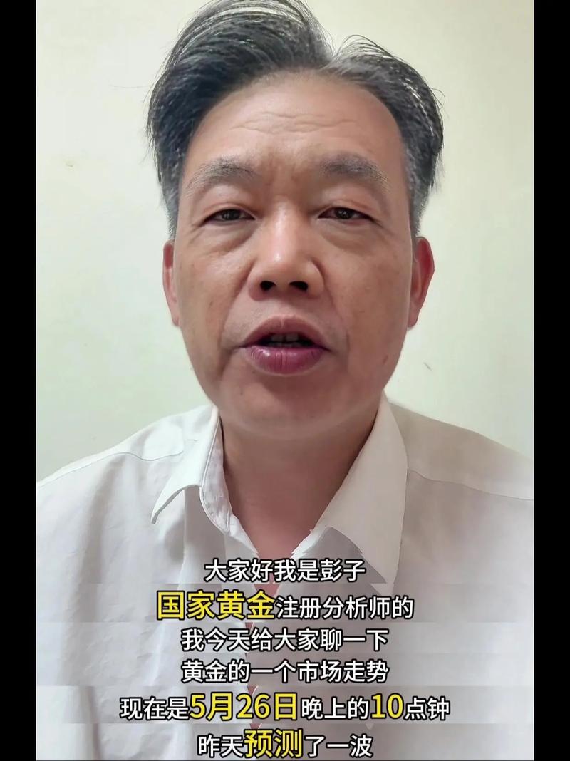 黄金价格走势分析_阳光私募基金经理何金子_财富讲坛视频 何金子