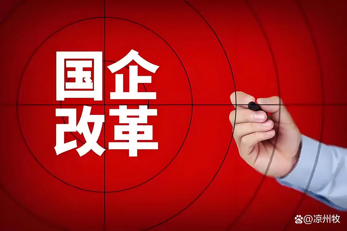 国企改革核心利益保障_国有企业资产能分配吗_国企改革不是所有制的搬家
