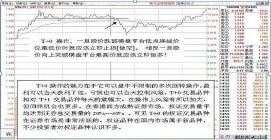 长期持股反复做T收益_做T+0操作方法_短线交易大师精准买卖点pdf