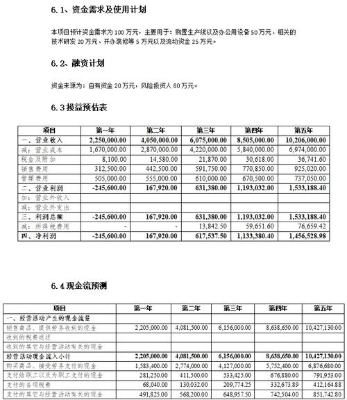 创业类人才项目商业计划书财务预测_商业计划书盈利预测怎么做_商业计划书投入产出计划