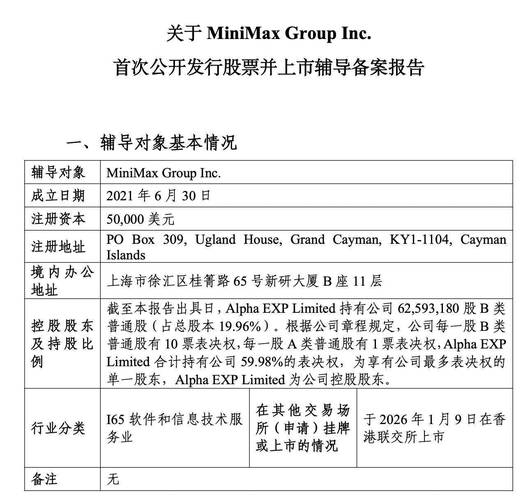 A股人工智能大模型企业上市标准_首次公开募股流程_科创板第五套上市标准指引