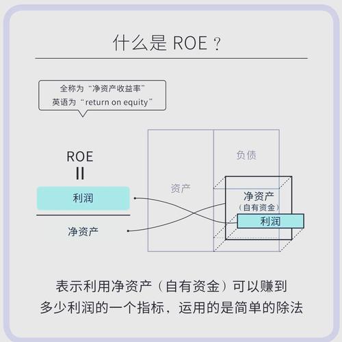 高增长公司低股息率分析_股票中roe是什么意思_股息率与增长率关系公式