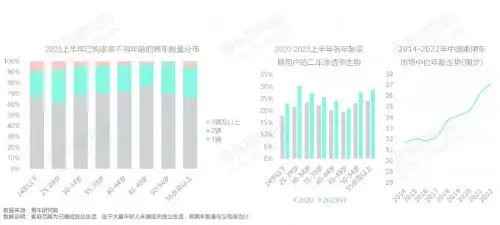 汽车持有量数据分析_家庭拥车数量洞察报告2023版_存量车市多车家庭用户分析