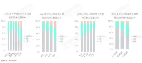 存量车市多车家庭用户分析_汽车持有量数据分析_家庭拥车数量洞察报告2023版
