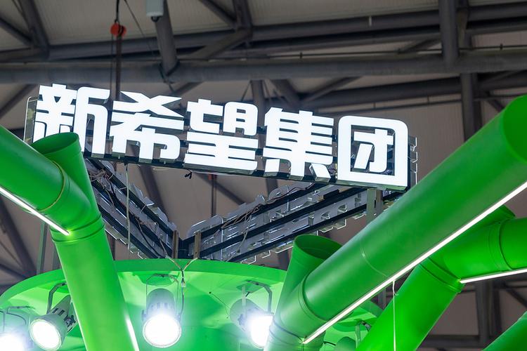 新希望集团曾为民生银行大股东_民生银行最大股东是谁_民生银行新希望化工增持股份