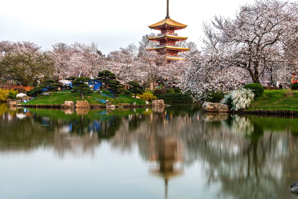 东湖自然景观_东湖国际商务旅行社_武汉东湖风景区