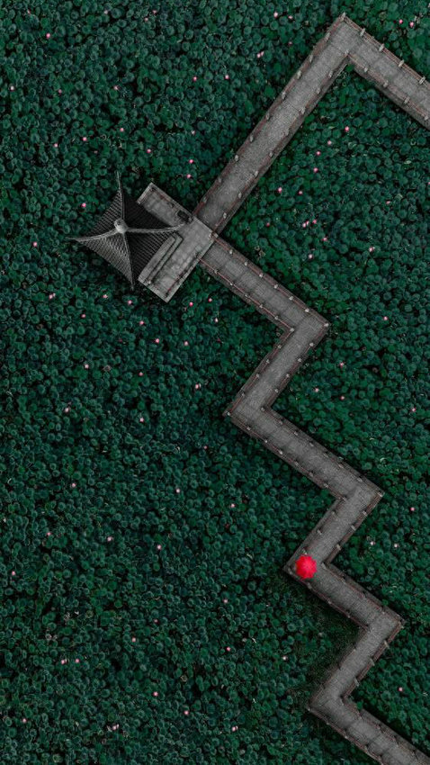 东湖国际商务旅行社_武汉东湖景区精华景点_东湖环湖绿道骑行打卡