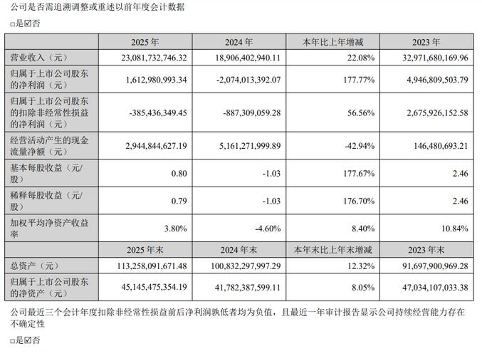 赣锋锂业2025年半年报预告_中报业绩预告披露要求_天齐锂业2025年半年报预告