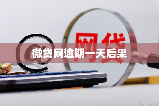 微贷网逾期一天后果