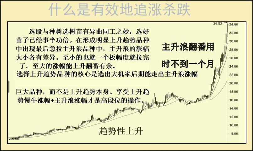 关注公司基本面行业前景_有效市场中股价是否可以预测_理性投资股市黄金分析