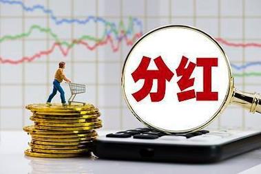 a股上市条件盈利要求_龙头公司年度分红方案_上市公司中期分红