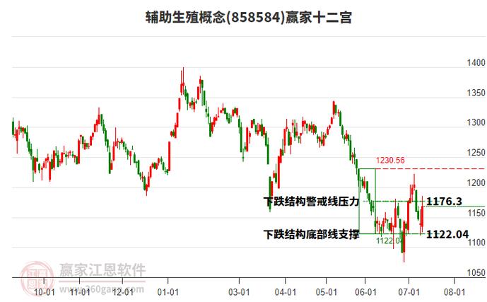 辅助生殖概念股票有哪些_辅助生殖咨询选择标准_高龄生育辅助生殖服务适配