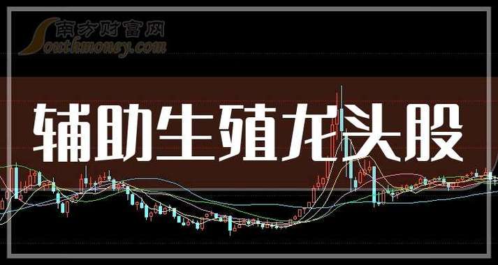 高龄生育辅助生殖服务适配_辅助生殖咨询选择标准_辅助生殖概念股票有哪些