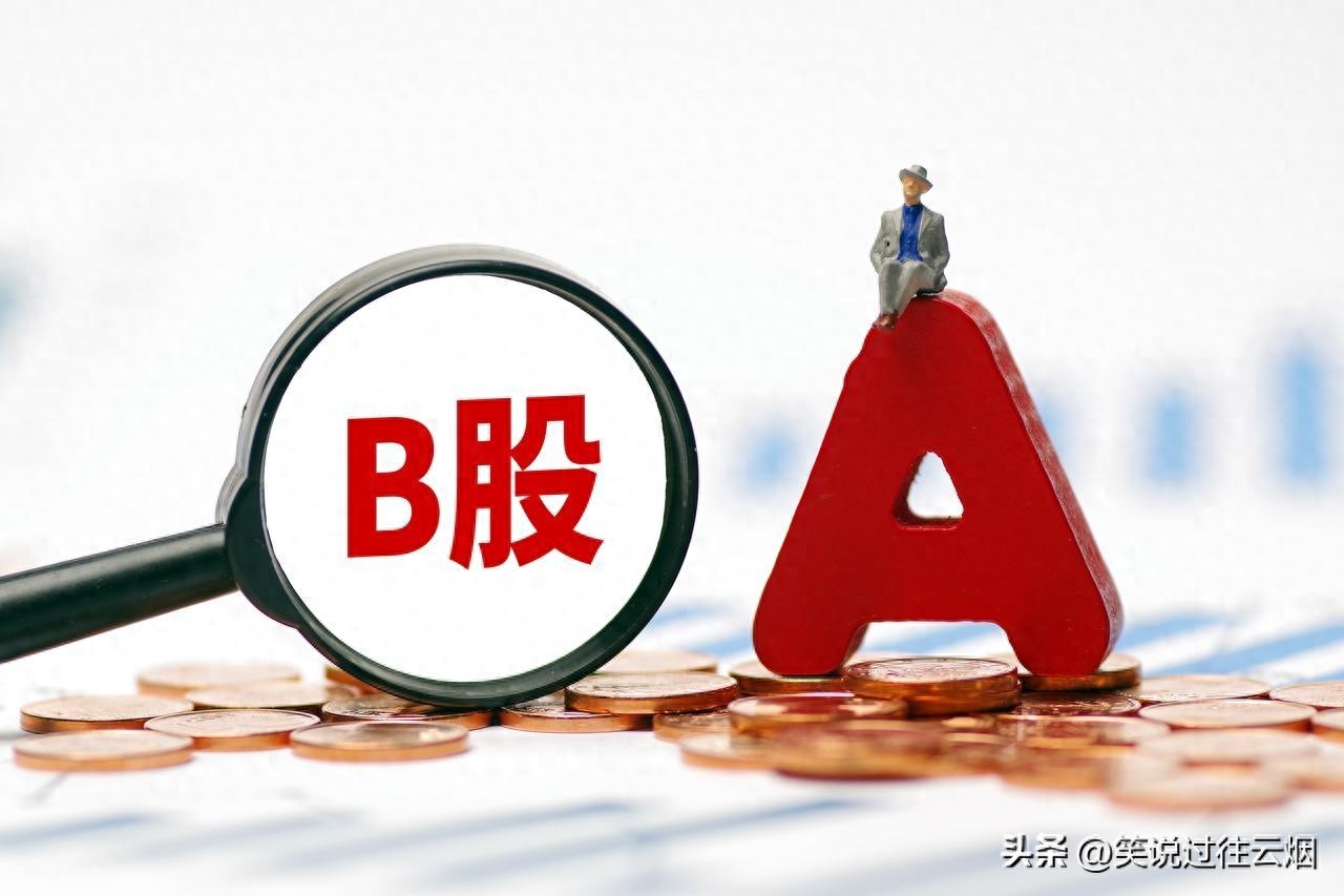 A股市场规模庞大，B股却被遗忘，它们的价格差异有何原因？