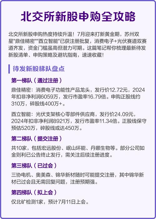 国亮新材发行市盈率分析_北交所新股申购规则_手中持有多少股票才可以打新