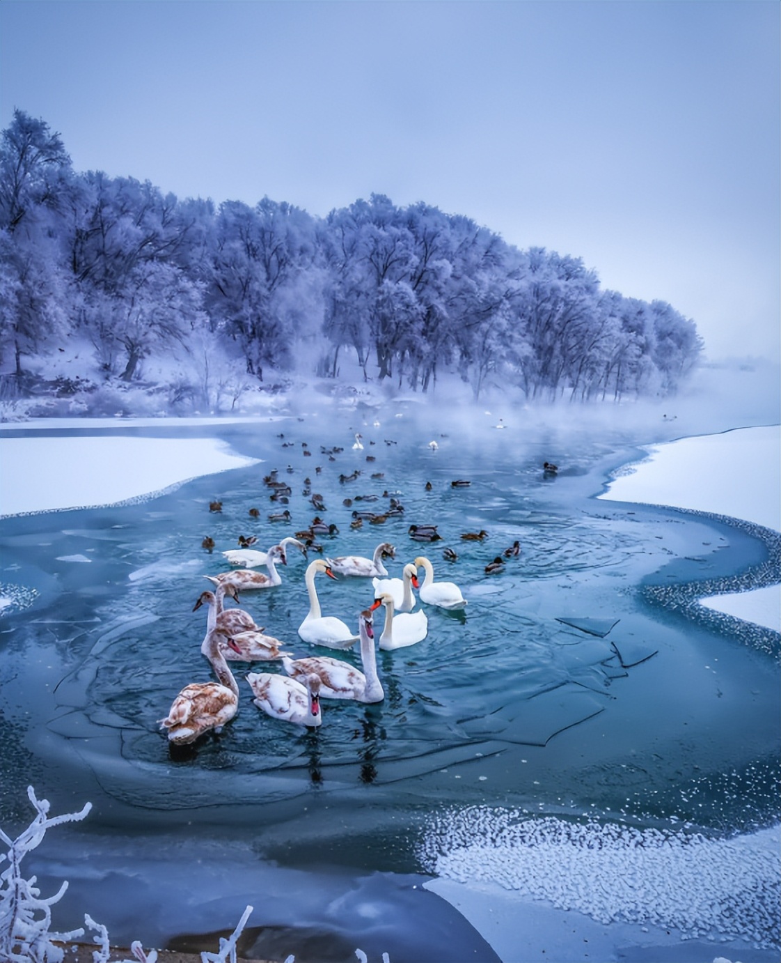 上海昆仑商务旅行社有限公司_新疆文旅认证旅行社_深度纯玩无投诉旅行社