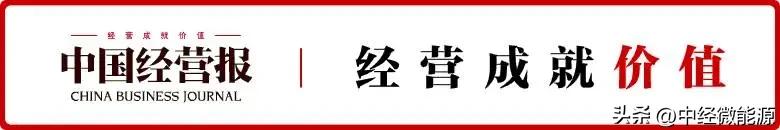 广东会计造假案例：*ST岭南被罚2660万，实控人遭市场禁入