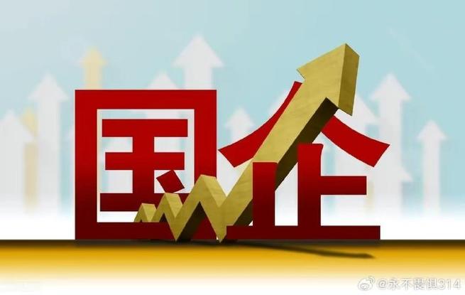 中国资本市场投资词典_国有企业混合所有制改革_混合所有制经济内涵