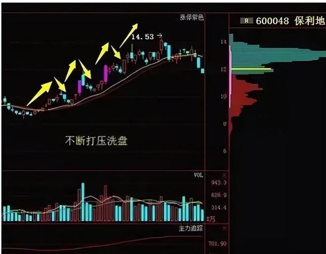 庄家坐庄思路_操盘手3:散户斗庄的16个细节_庄家坐庄手法