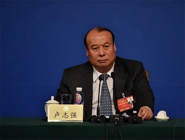 泛海控股的转型格局已初步确定。卢志强最忙碌的一年，也是硕果累累。