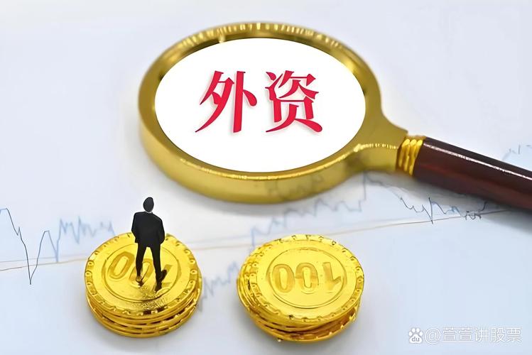 沪深300外资持仓_阿布扎比投资局+a股_A股外资流入