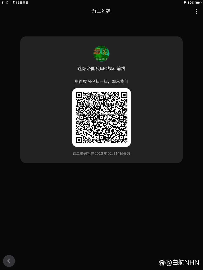 百川币网站打不开，投资者投入未回本反被管理员踢出群