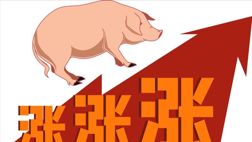 全国生猪市场行情_山东今日大猪价格行情_猪价横盘震荡分析